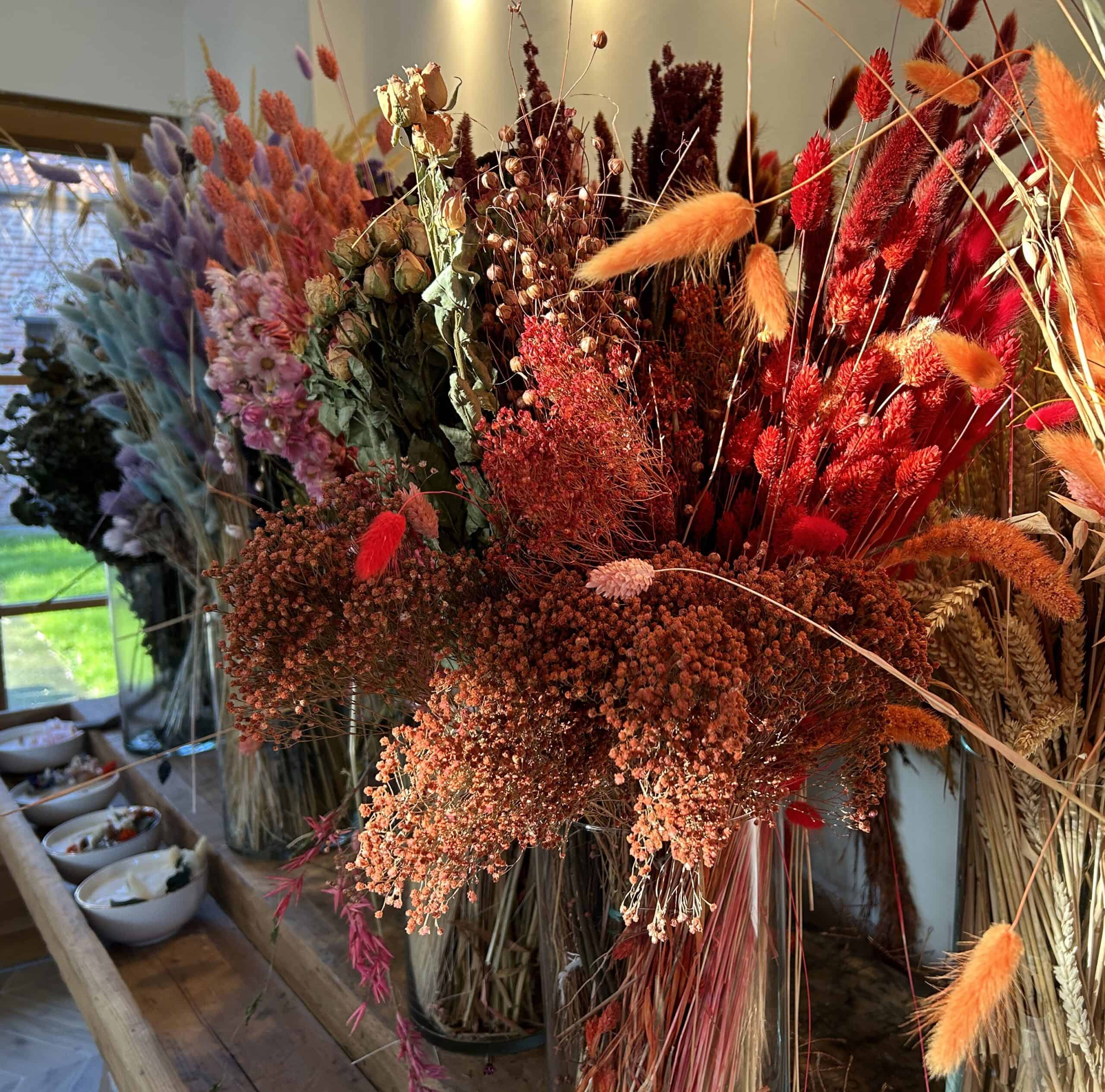 internet 15 e5fa43953d20ba6ad3fd59e2636b9053